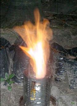 250px-Biodigester_flame_in_dim_light.JPG