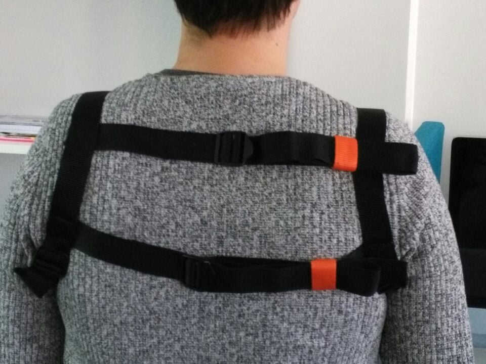 File:Harness back.jpg