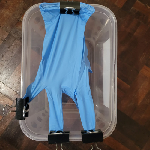 Procedure glove clipped into a plastic container at the start of appendectomy simulator construction.