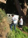 The four of us carrying a 250 gallon international bulk container up the hill to its final location.