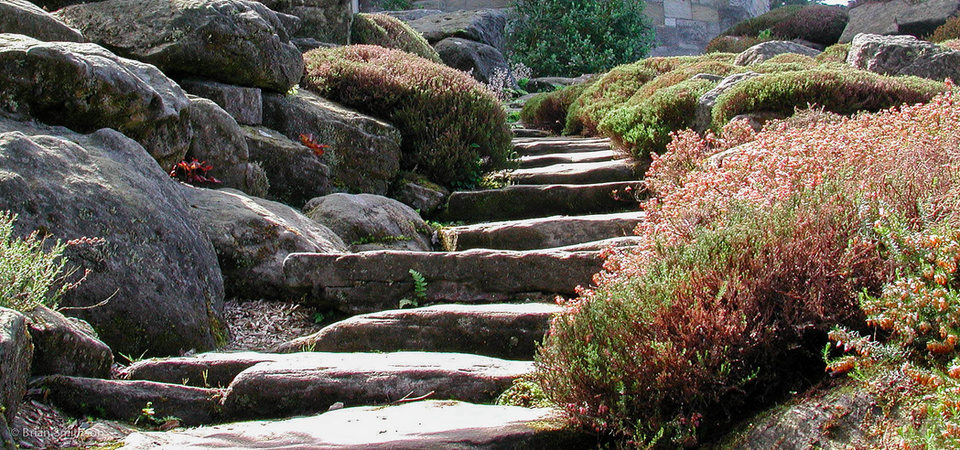 File:Rockerywithsteps.png