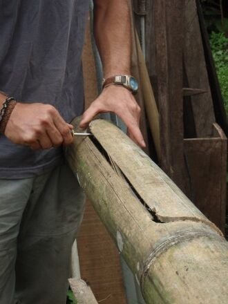 330px-Bamboo_planter_pry_open.jpg