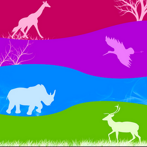 330px-Colorfulbiod.png
