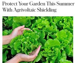 Protect Your Garden This Summer With Agrivoltaic Shielding