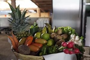 330px-La_Canasta_Campesina_1.jpg