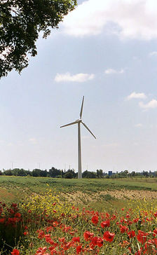Res wind turbine poppy field.jpg