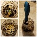 Inside look at the compost in the first jar and trowel.