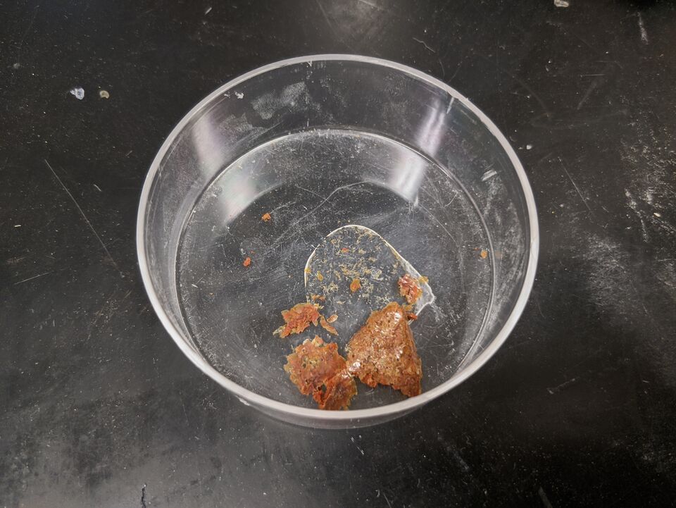 File:MOST DehydratedSample.jpg
