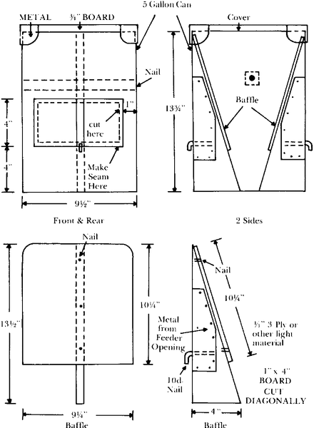 File:Rab P16.GIF