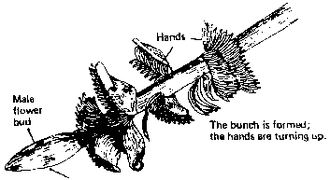 Le groupe est formé ; les mains se lèvent.
