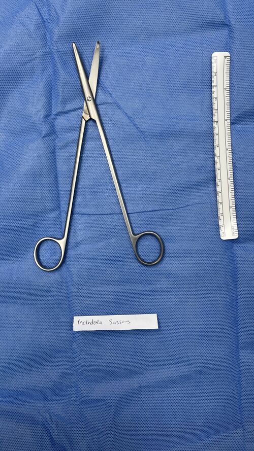 File:McIndoe Scissors.jpg