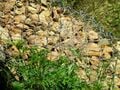 Fig.6 Mesh fencing around loose pile of rocks to make the micro filter dam