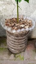 And that's it! Now fill it with plants and enjoy!
