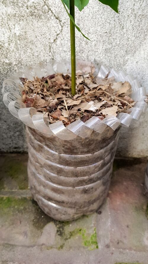 File:Ecopot 11.jpg