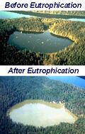 Thumbnail for version as of 12:20, 4 October 2007
