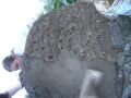 Thumbnail for version as of 05:18, 7 May 2007