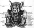Thumbnail for version as of 03:39, 18 March 2026