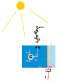 Thumbnail for version as of 13:32, 23 April 2010