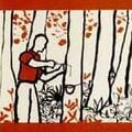 Thumbnail for version as of 14:56, 17 October 2024