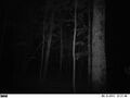 Thumbnail for version as of 01:48, 19 September 2013