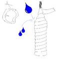 Thumbnail for version as of 23:57, 22 January 2007