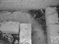 Thumbnail for version as of 01:58, 20 July 2008