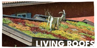 Living-roofs-homepage.png