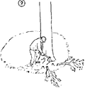 Thumbnail for version as of 01:26, 6 January 2007