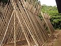 Bambu Tico bamboo factory