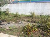 Dry Stream Bed