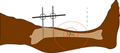 Thumbnail for version as of 20:10, 27 October 2022