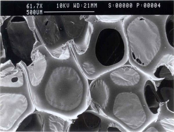File:Polyurethane-Pores.jpg