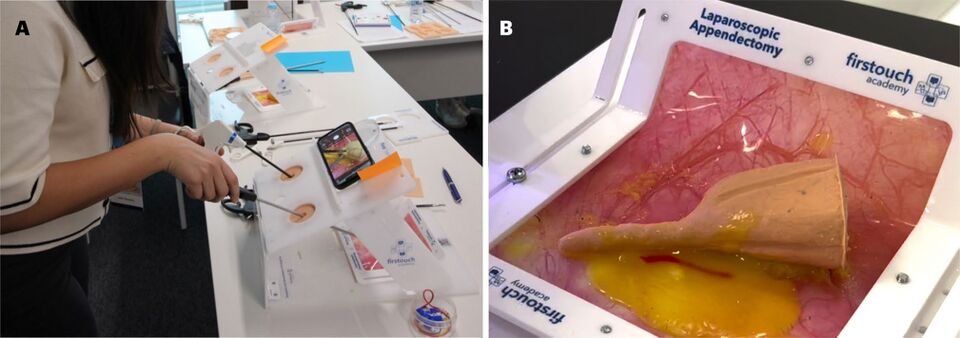 File:TissueDB-Sim-LapAppendectomy4all-Hero-01-Platform-and-Model.jpg