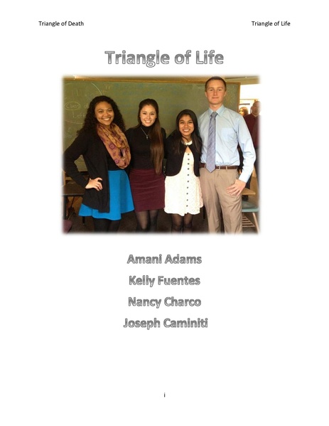 File:Triangleoflife 215ZMS S15.pdf