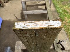 Glue the end grain of the board that will be joined. Wait 15 minutes, and apply more glue. The end grain can absorb a lot of glue.
