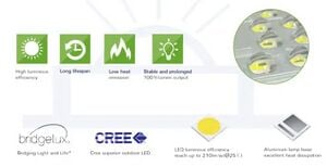 high luminous led chip