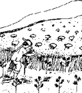 Thumbnail for version as of 01:26, 6 January 2007