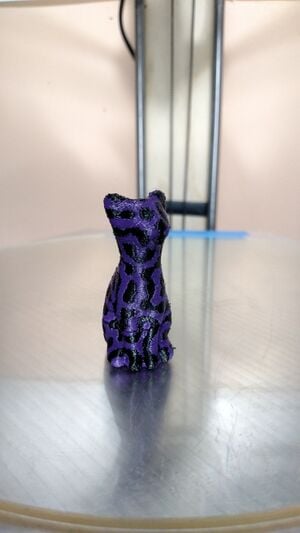 Dual extrusion cat model