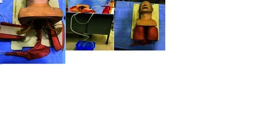 Five-panel photo sequence of the SALAD trainer build: manikin lungs removed, two PVC tubes fed through the stomach and held with zip ties, the spray pump connected to the delivery tube, and the lungs replaced.