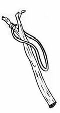 Thumbnail for version as of 01:22, 6 January 2007