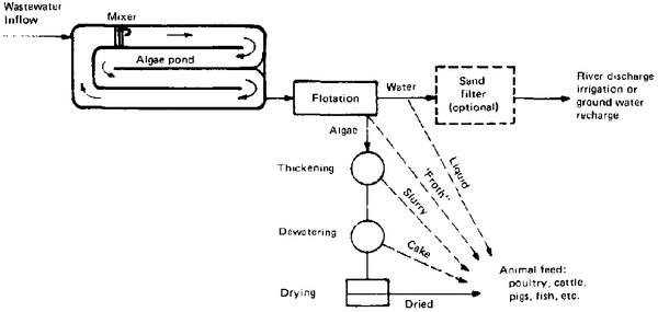 File:80434E24.GIF