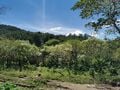 La Montañona Forest.jpg