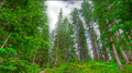 Thumbnail for version as of 11:00, 20 January 2016