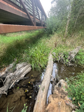 Figure 3-5: Photo of Downstream Janes Creek.
