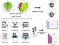 Full Heads or Cut and Come Again? Economic Analysis of Leafy Green Cultivation in Solar-Powered Indoor Vertical Farms