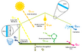 Thumbnail for version as of 14:48, 2 July 2023