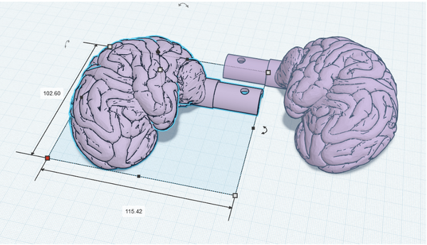 File:3D model brain enginerds.png
