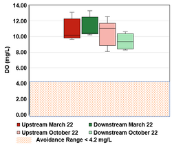 Figure 3-7: Dissolved oxygen concentration (mg/L). March 22 data was collected from March 9 to April 5 2022. October 22 data was collected from October 12 to November 2 2022. The sample size for each box is 12. The top whisker in each box delineates the maximum value for that site and time frame, and the bottom whisker delineates the minimum value. The horizontal line across the box delineated the median value. DO avoidance range for adult Chinook Salmon is below 4.2 mg/L (Carter 2005).   