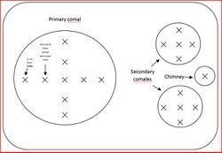 Figure 1. Distribution of measuring points for the Patsari Cookstove
