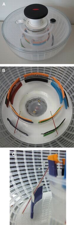 File:Sallycentrifuge.jpg